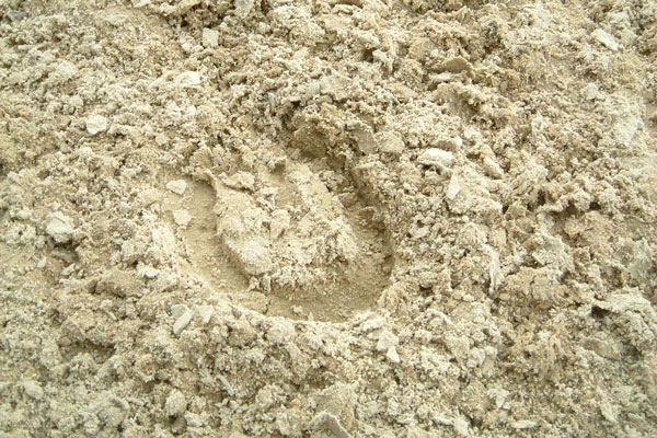 Reitsand für Reitplätze