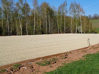 Großer Außenreitplatz in Reinsdorf