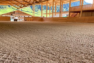 integrierte Unterflurbewässerung